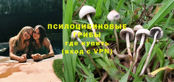 скорость Дмитриев