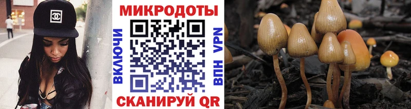Купить  Свободный  Галлюциногенные грибы прущие грибы 